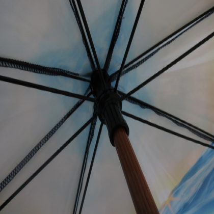 Spectrum City Cub Umbrella - Image 4