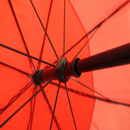 Spectrum Sport Eco Vented Umbrella - Image 4