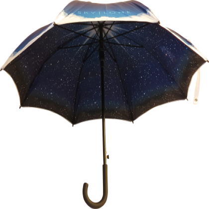 Executive Walker Eco Double Canopy Umbrella - Image 2