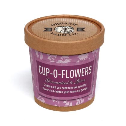 Cadenceario PP Flowers Grow Kit