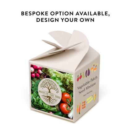 Kappaiv Box Seed Kit