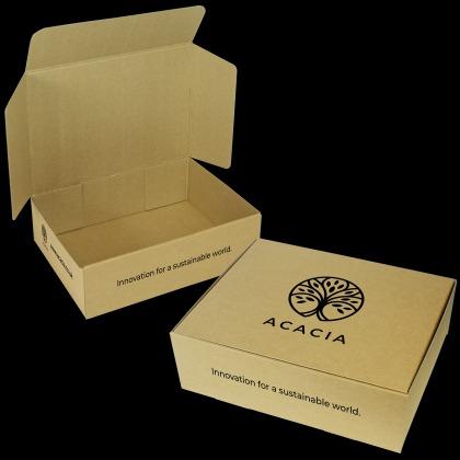 Blizzardomi PP Boxes