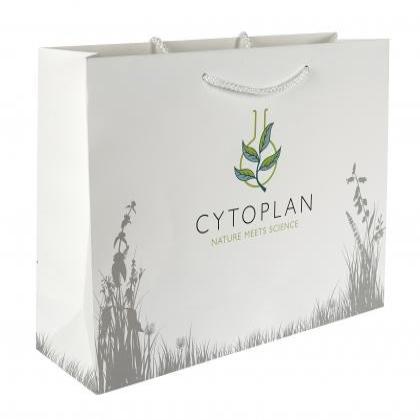 Phoenixeni Paper bags