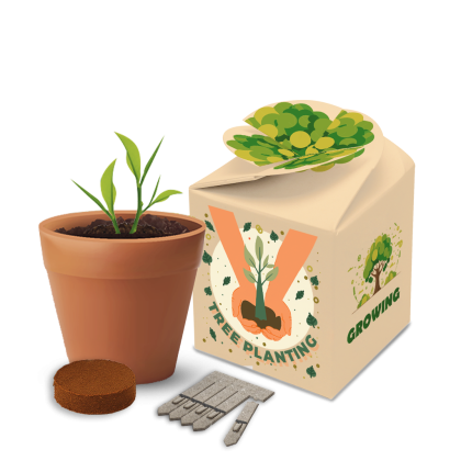 Willow Flowering Garden Pot