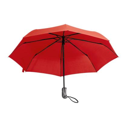 Automatic Storm Umbrella Bixby