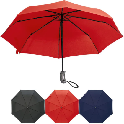 Automatic Storm Umbrella Bixby