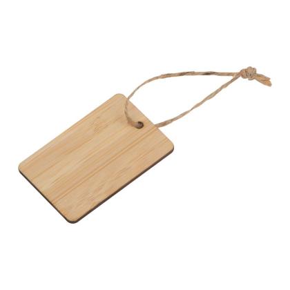 Bamboo Pendant Salamanca