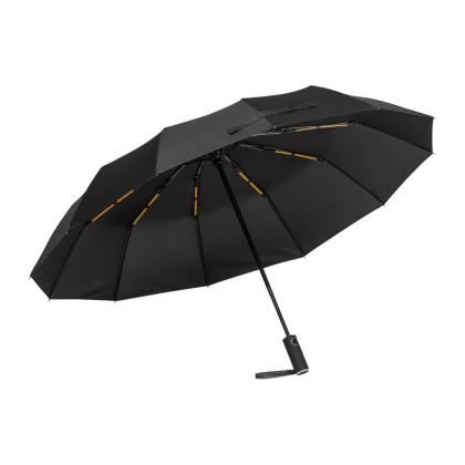 Automatic Storm Umbrella Omaha