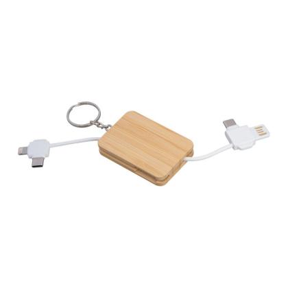 Charging Keychain Bellevue