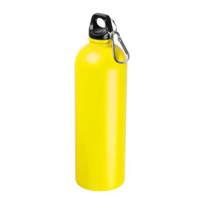 Stainless Steel Drinking Bottle Ostrov 750 ml