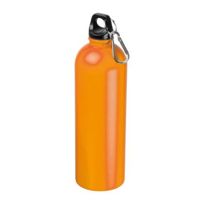 Stainless Steel Drinking Bottle Ostrov 750 ml