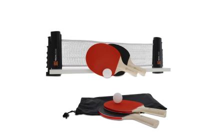 Table tennis set for a regular table