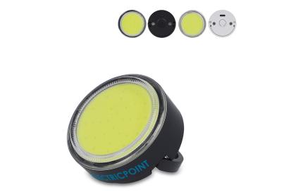 Rechargeable multifunctional light
