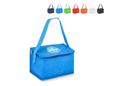 R-PET 6 Can cooler bag non-woven 20x 13 x 12.5cm 75g/m²