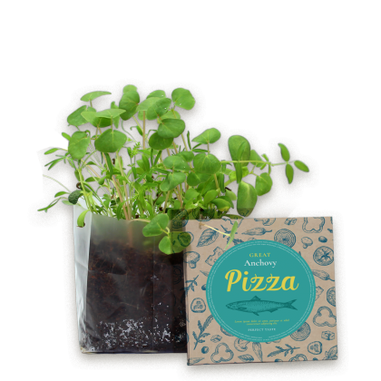 Freeaya Plastic Seeds