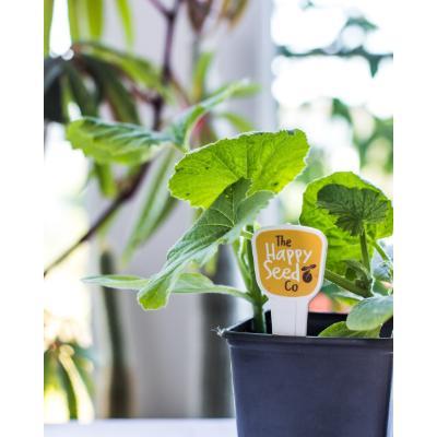 Recycled Plant Marker Kit - Image 2