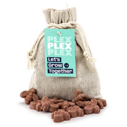 Bee Shaped Seed Bombs - Bag