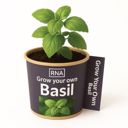 Desktop Herb Garden - Basil