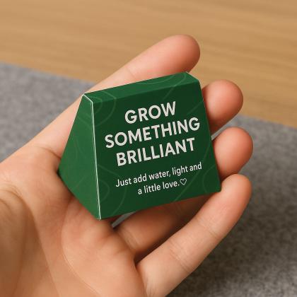 Tree Shaped Seed Bomb - Mini Box