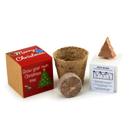 Christmas Tree Seed Bomb Kit - Kraft Box & Sleeve
