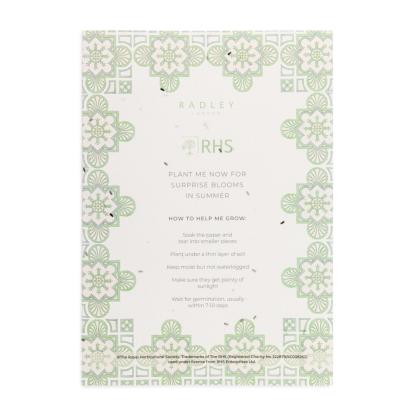 A4 Seed Paper 220gsm