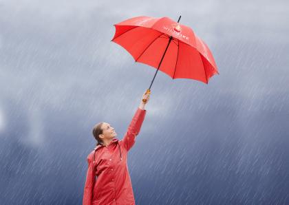 ECONOMY GOLF UMBRELLA Umbrella - Image 4