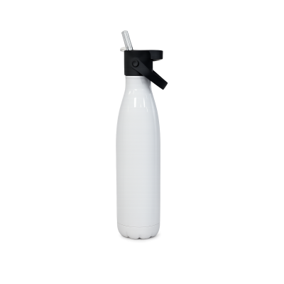 Pixelaya Stainless Steel Bottle