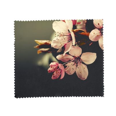 Berryir 10x10cm Lens cloths