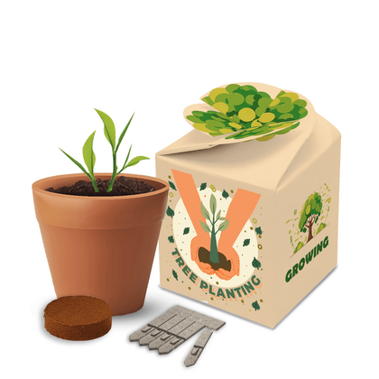Willow Flowering Garden Pot