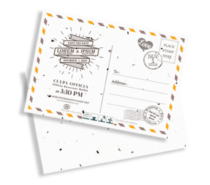 Sourceium PP Seeded paper
