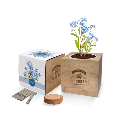 Sagaurio Desk gardens