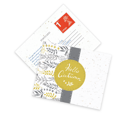 Markossa PP Seeded paper