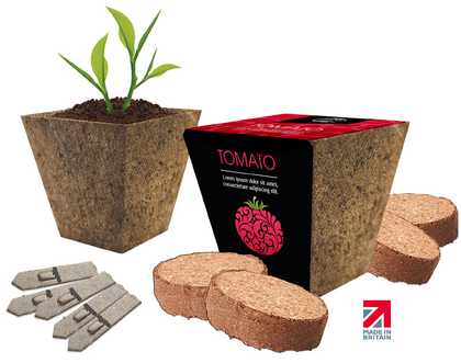 Simpleilia Wood Seeds